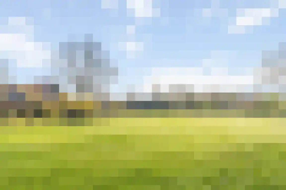 Tunnelweg 3 Haarle thumbnail 50
