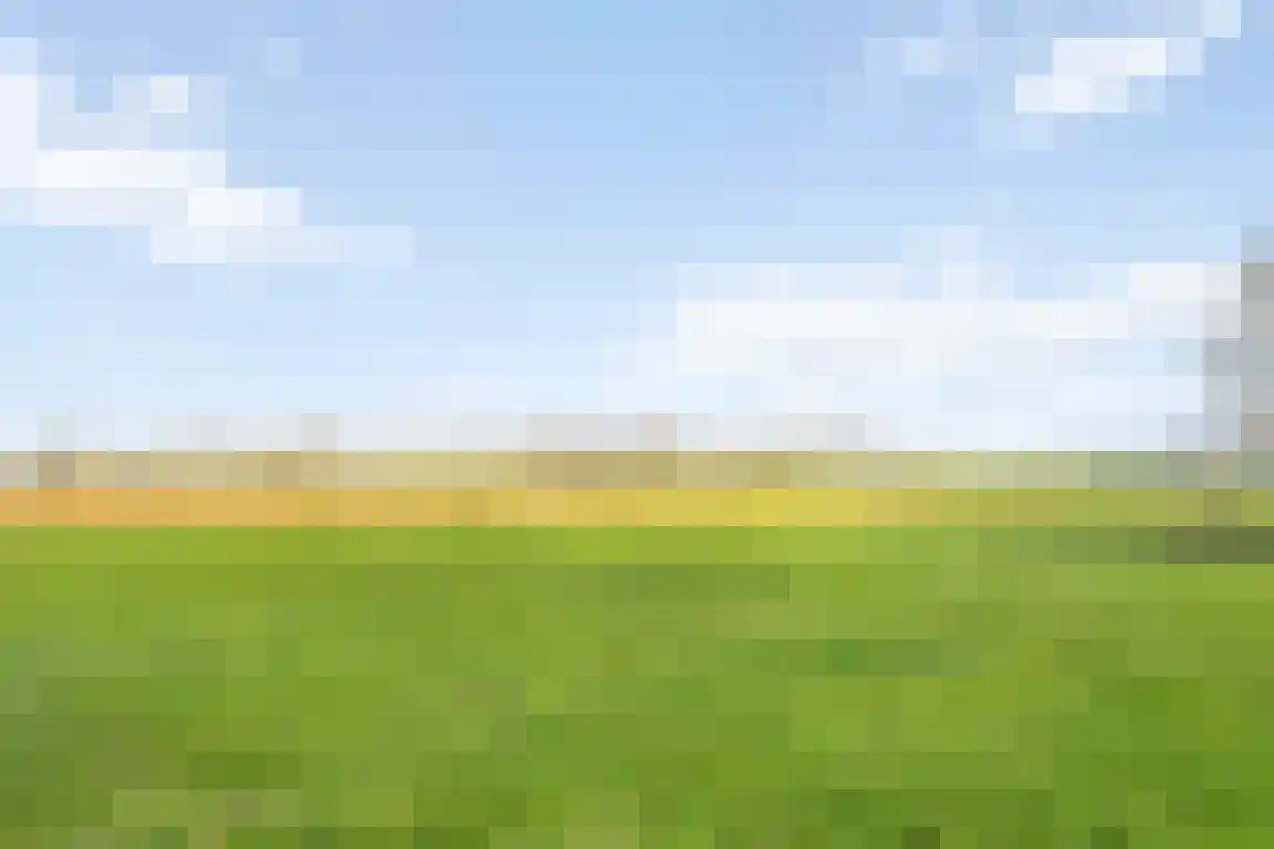 Tunnelweg 3 Haarle thumbnail 51