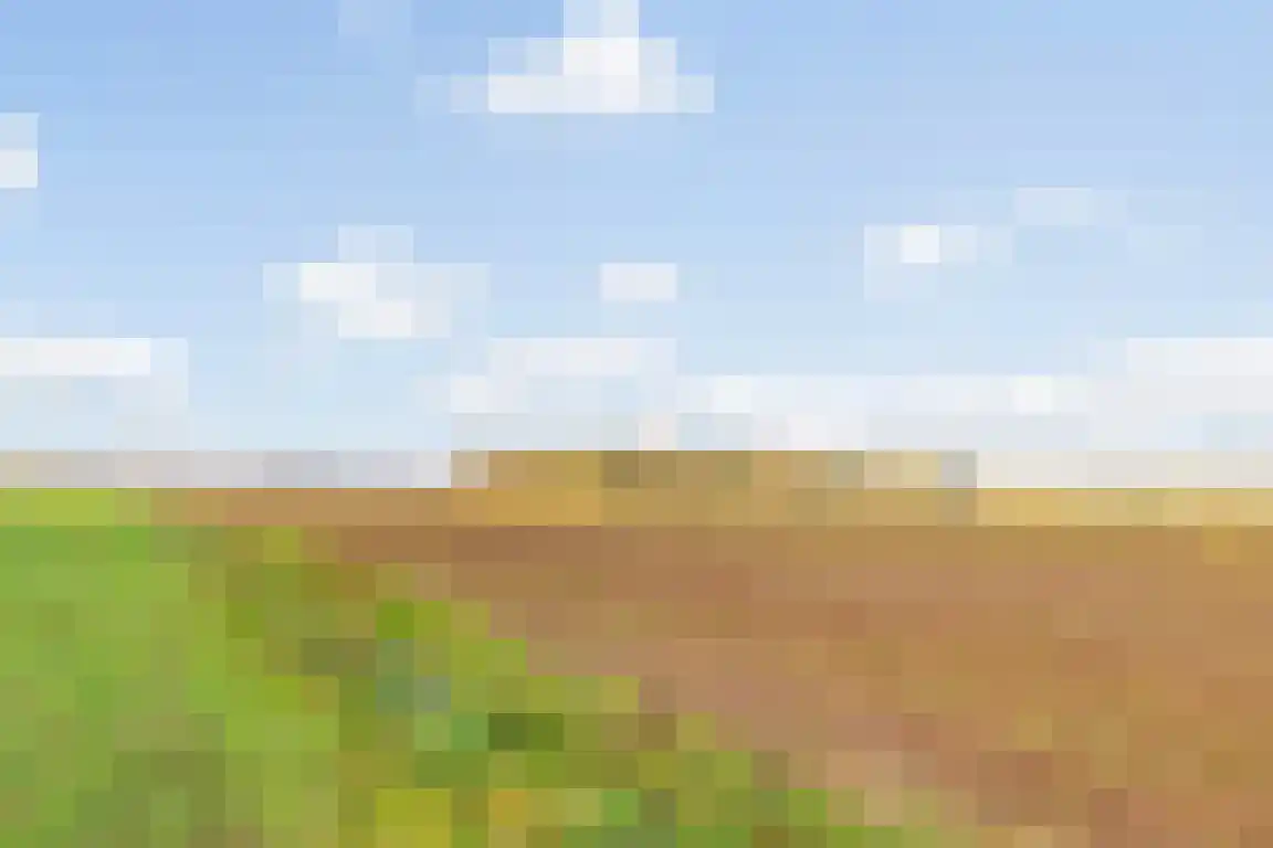 Tunnelweg 3 Haarle thumbnail 53