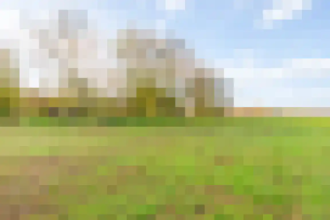 Tunnelweg 3 Haarle thumbnail 54