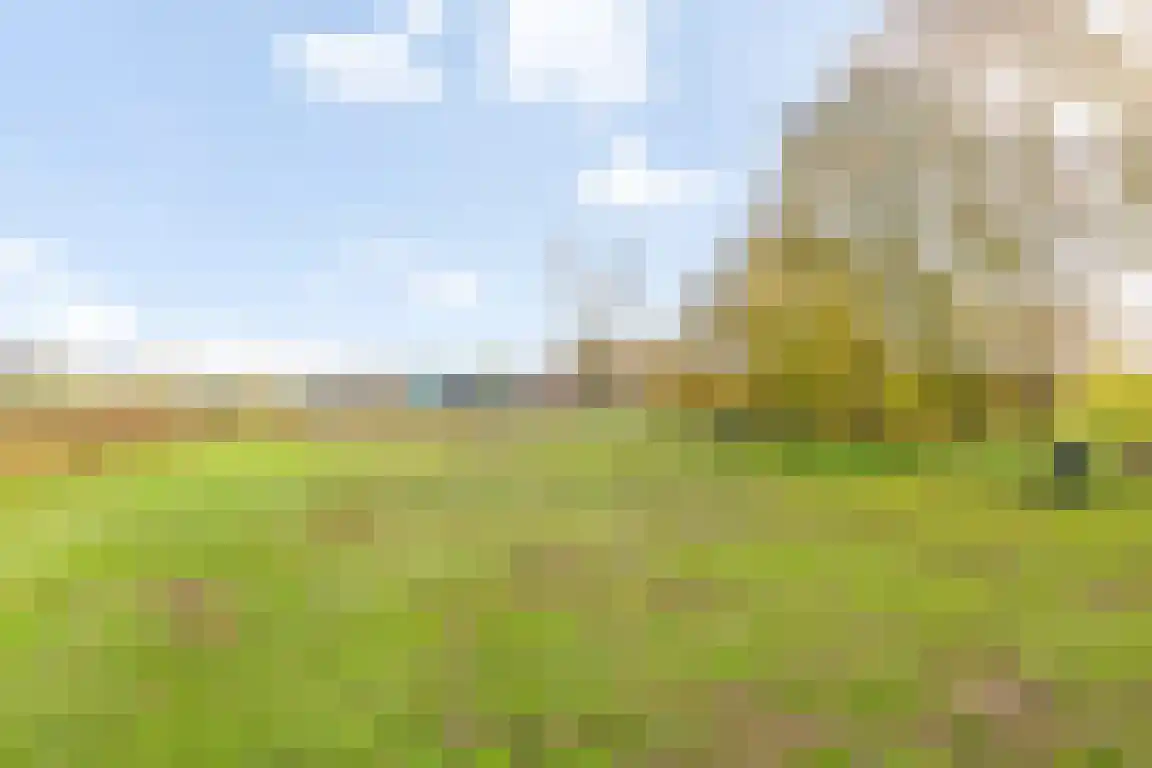 Tunnelweg 3 Haarle thumbnail 55