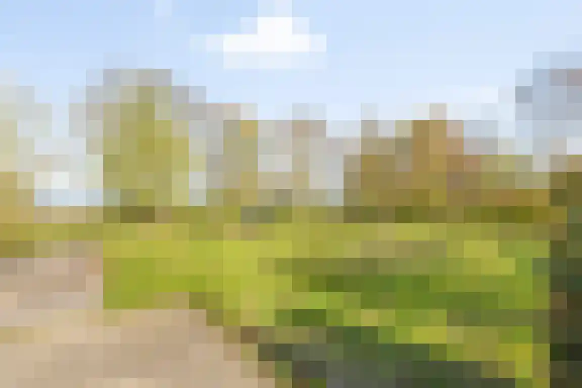 Tunnelweg 3 Haarle thumbnail 56
