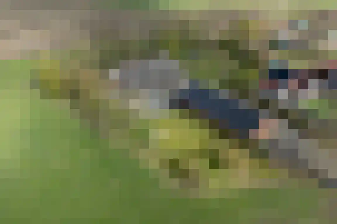 Tunnelweg 3 Haarle thumbnail 58
