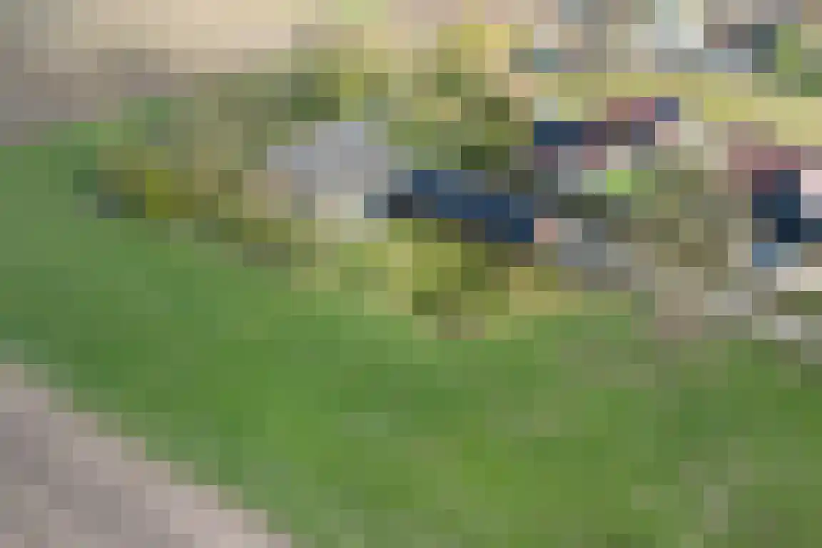 Tunnelweg 3 Haarle thumbnail 61