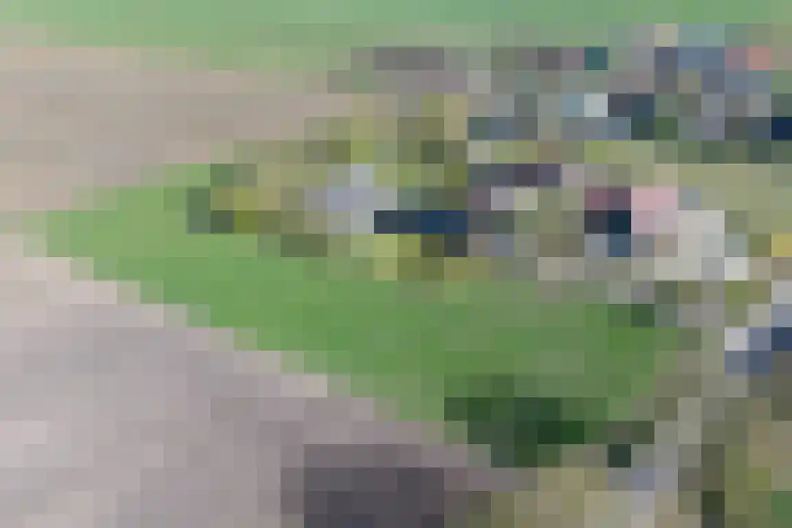 Tunnelweg 3 Haarle thumbnail 62