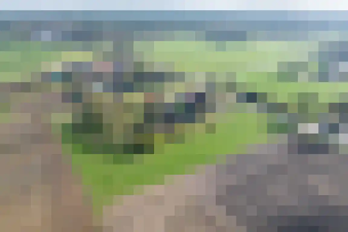 Tunnelweg 3 Haarle thumbnail 65