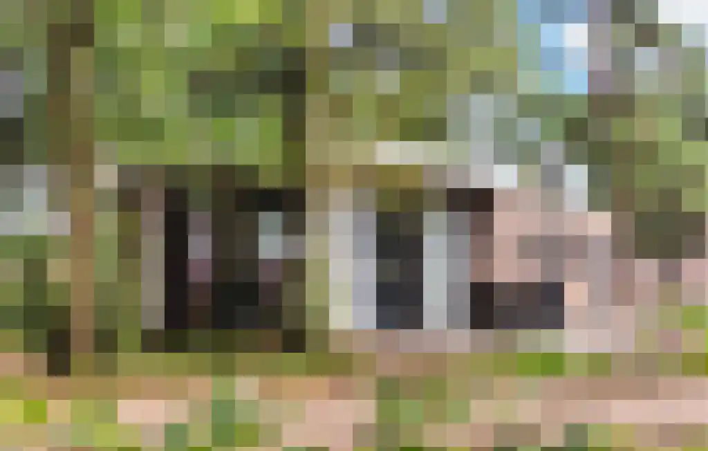 Tunnelweg 4 a 08 Haarle