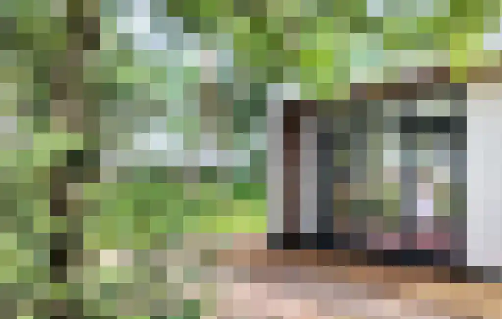 Tunnelweg 4 a 08 Haarle thumbnail 15