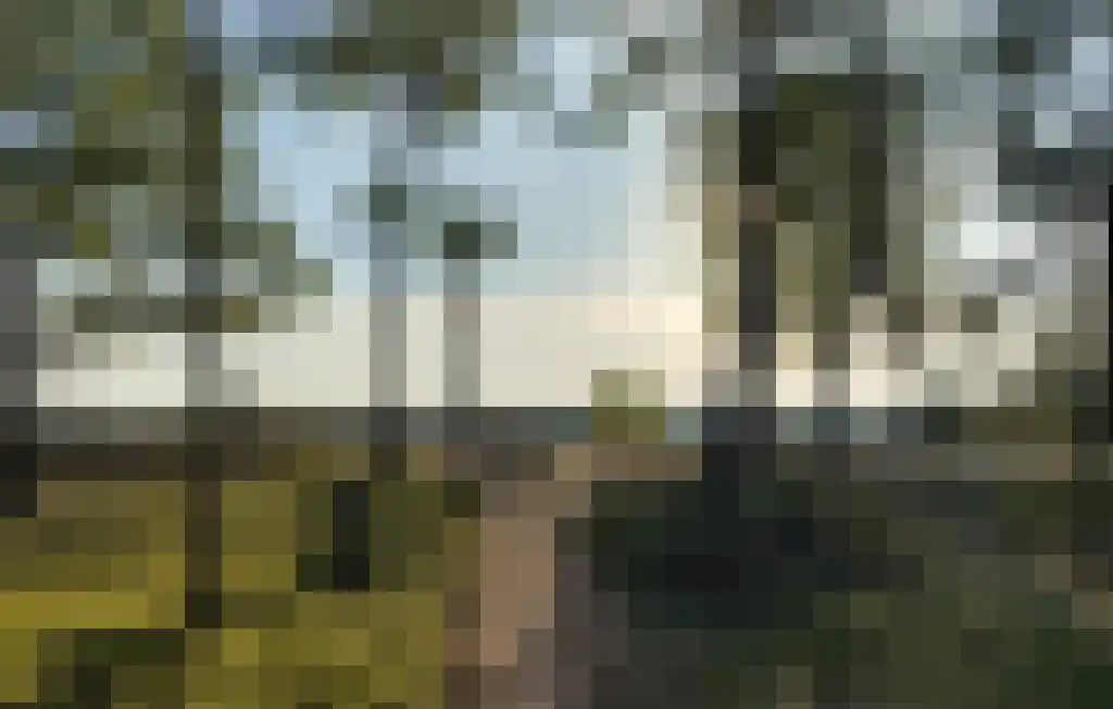 Tunnelweg 4 a 08 Haarle thumbnail 17
