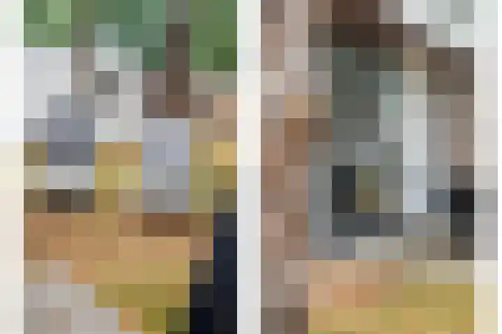 Tunnelweg 4 a 41 Haarle thumbnail 16