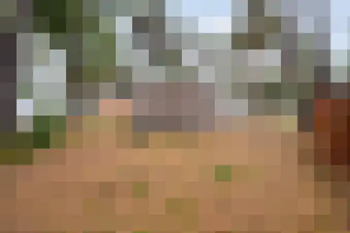 Tunnelweg 4 a 41 Haarle thumbnail 17