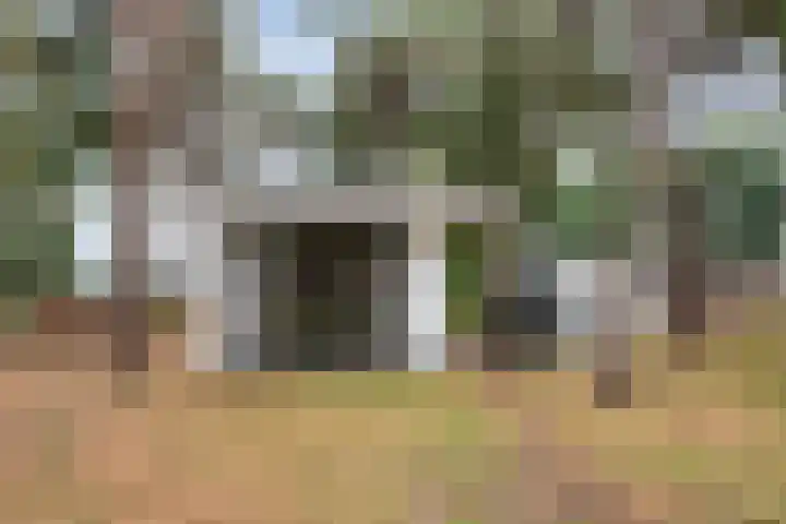 Tunnelweg 4 a 41 Haarle thumbnail 18