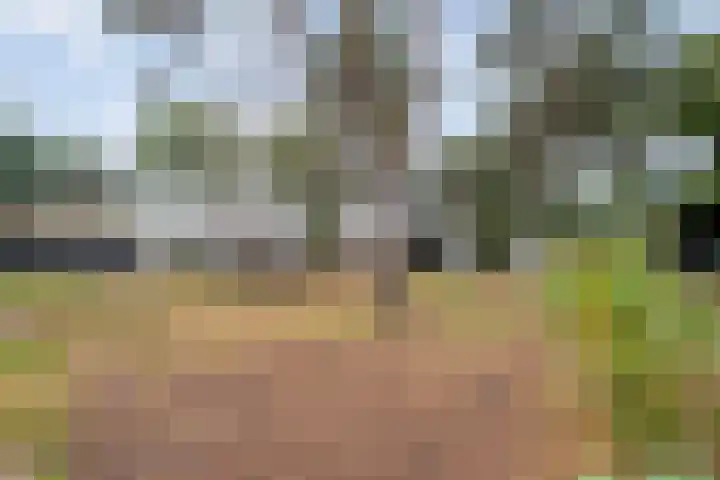 Tunnelweg 4 a 41 Haarle thumbnail 19