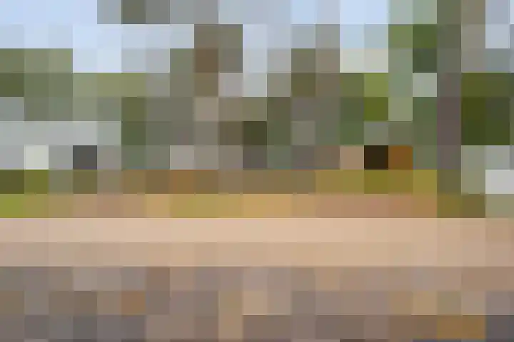 Tunnelweg 4 a 41 Haarle thumbnail 20