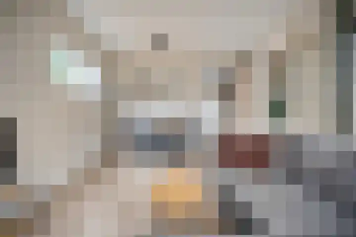 Tunnelweg 4 a 41 Haarle thumbnail 8