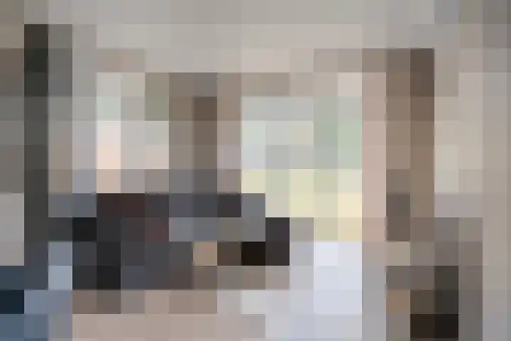 Tunnelweg 4 a 41 Haarle thumbnail 9