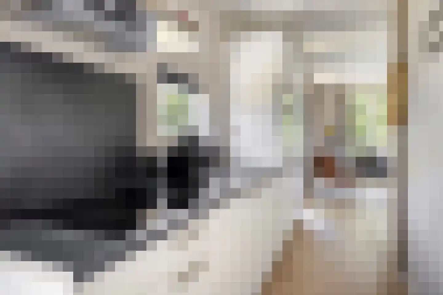 Tunnelweg 4 a 80 Haarle thumbnail 10