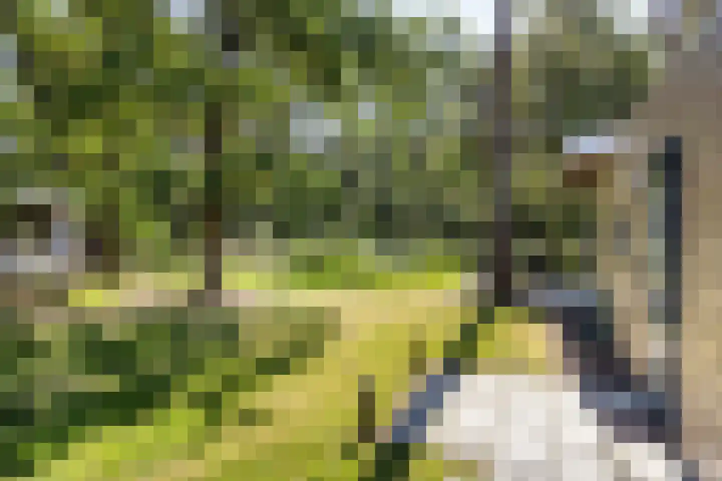 Tunnelweg 4 a 80 Haarle thumbnail 16