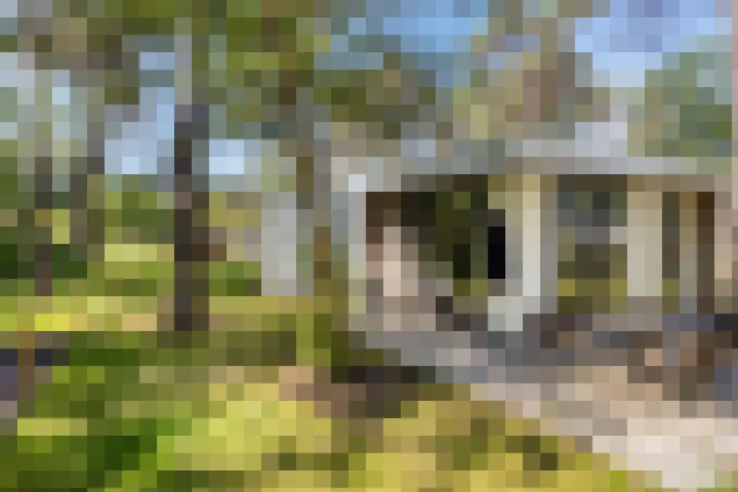 Tunnelweg 4 a 80 Haarle thumbnail 17