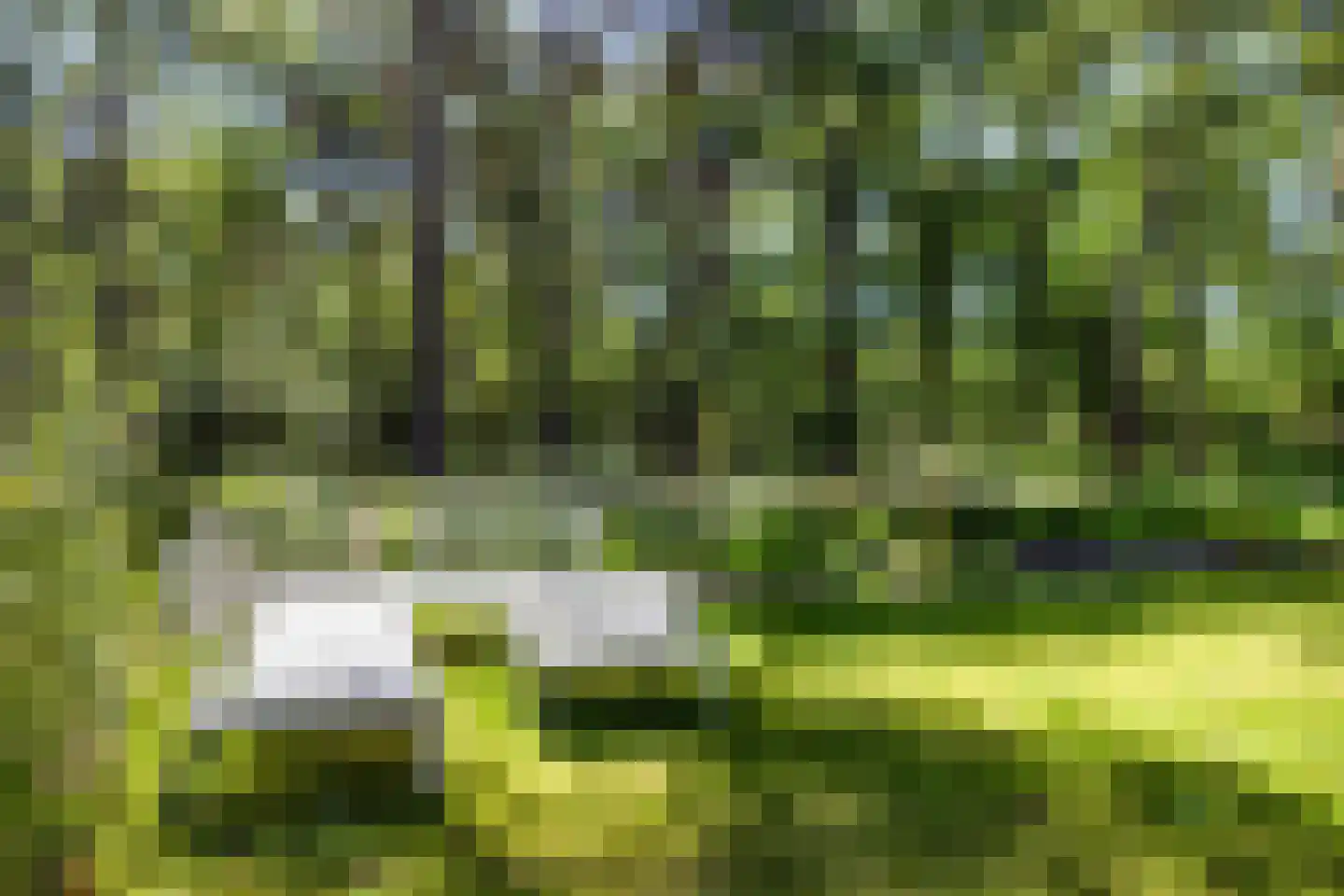 Tunnelweg 4 a 80 Haarle thumbnail 19