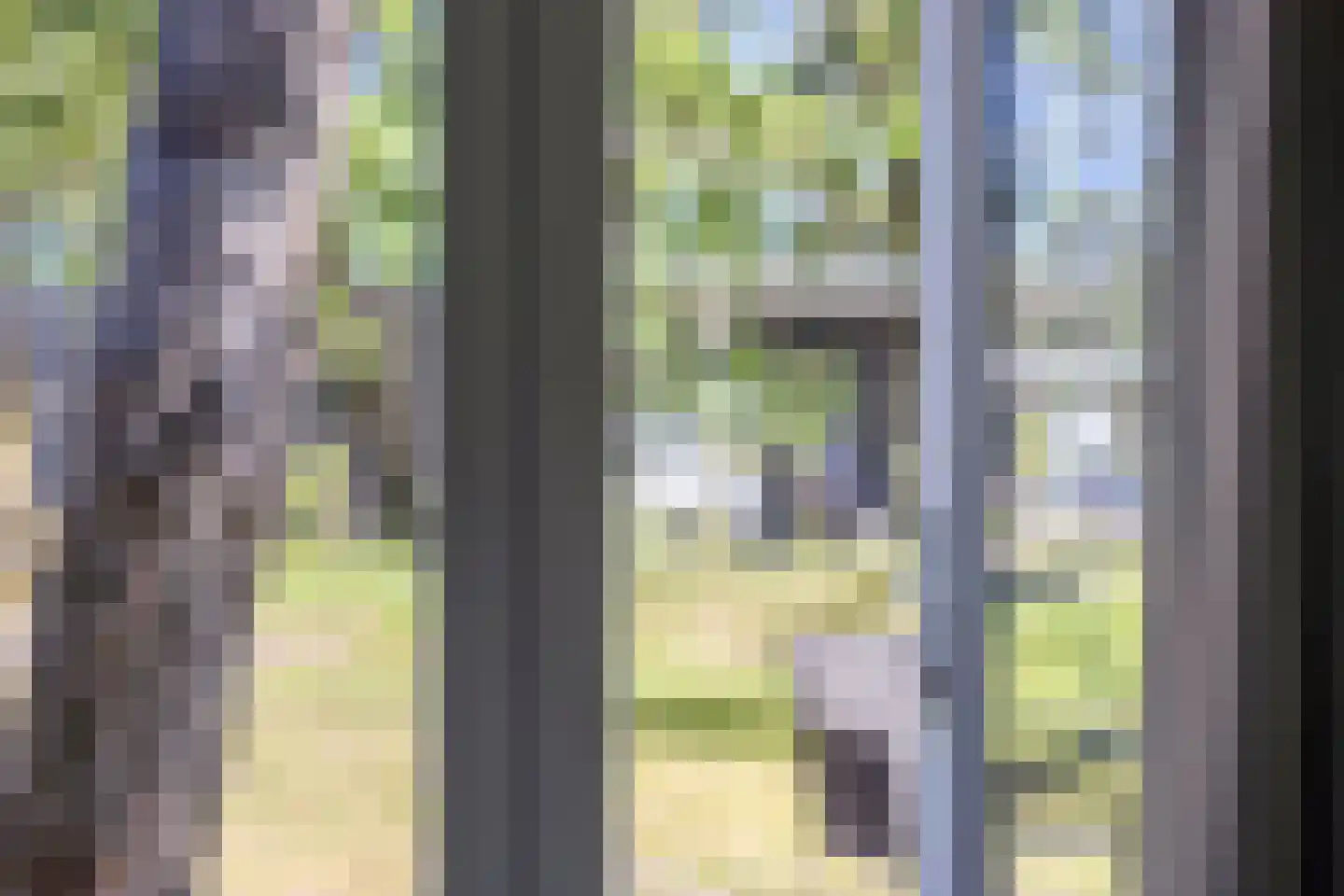 Tunnelweg 4 a 80 Haarle thumbnail 8