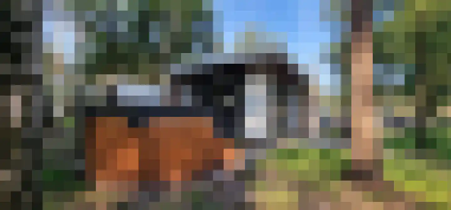 Tunnelweg 4 a 90 Haarle thumbnail 11