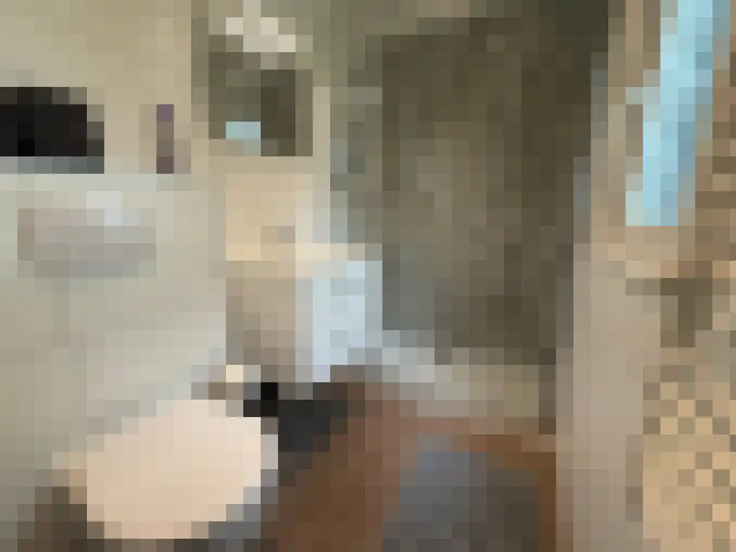 Tunnelweg 4 a 90 Haarle thumbnail 18