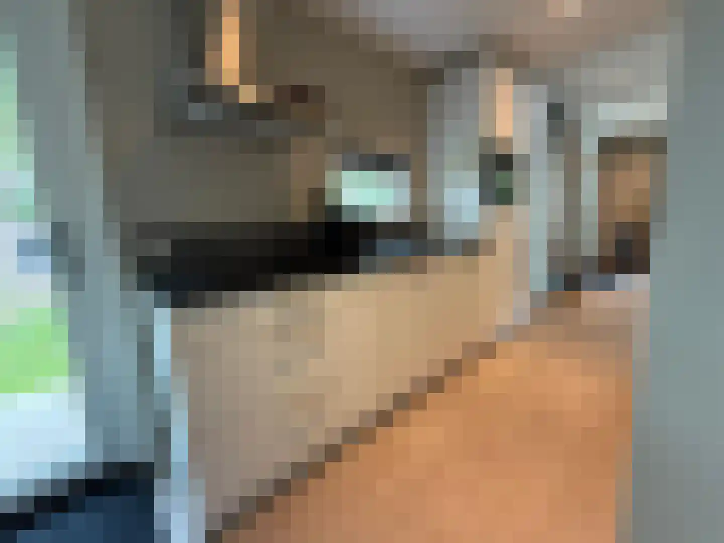 Tunnelweg 4 a 90 Haarle thumbnail 8