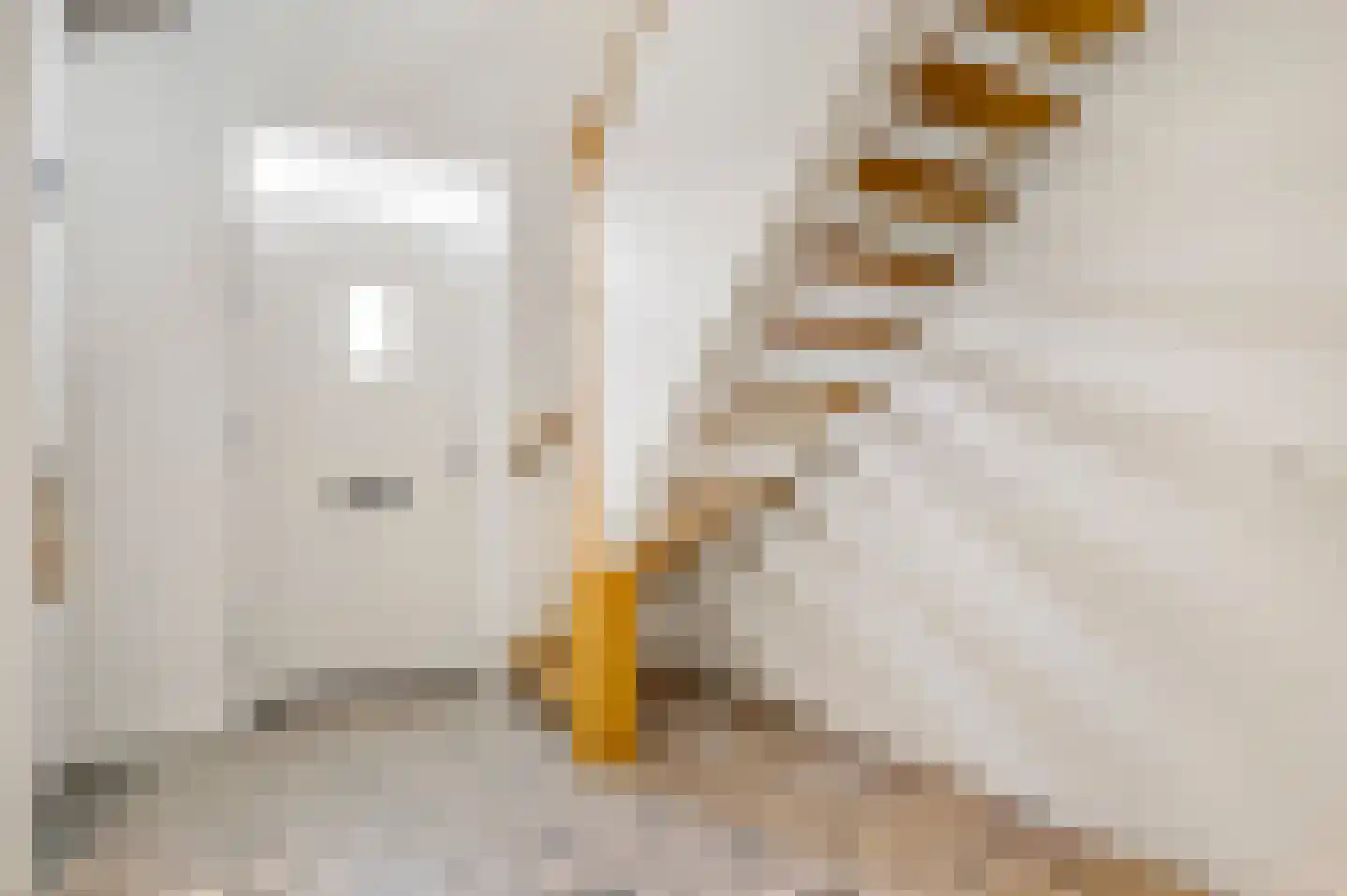 Tunnelweg 4 A Castenray thumbnail 15