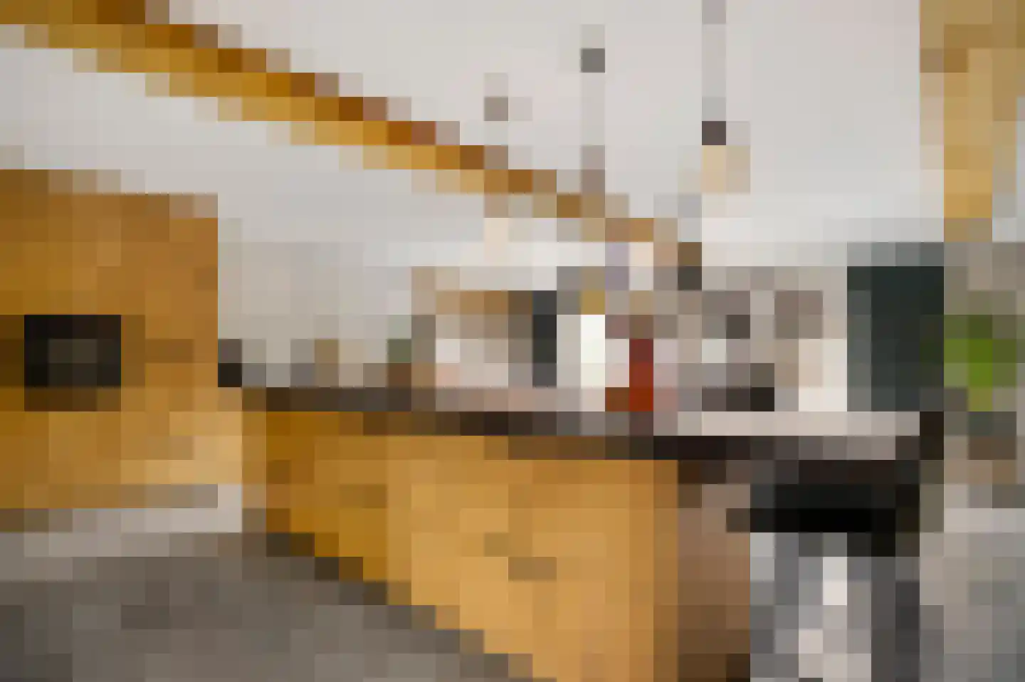 Tunnelweg 4 A Castenray thumbnail 17