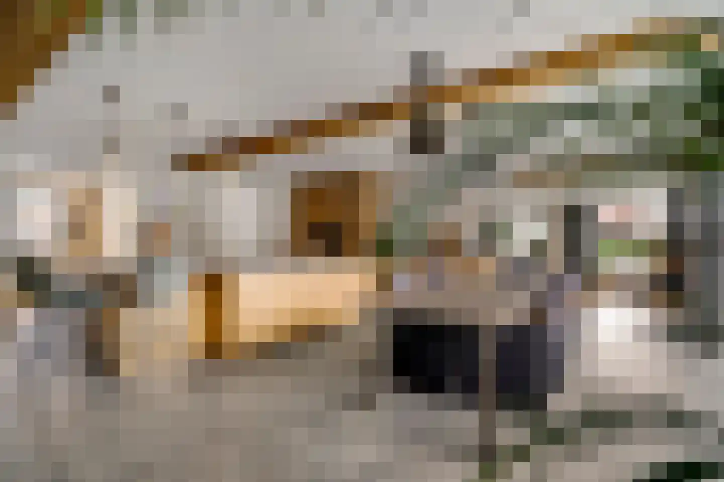Tunnelweg 4 A Castenray thumbnail 18