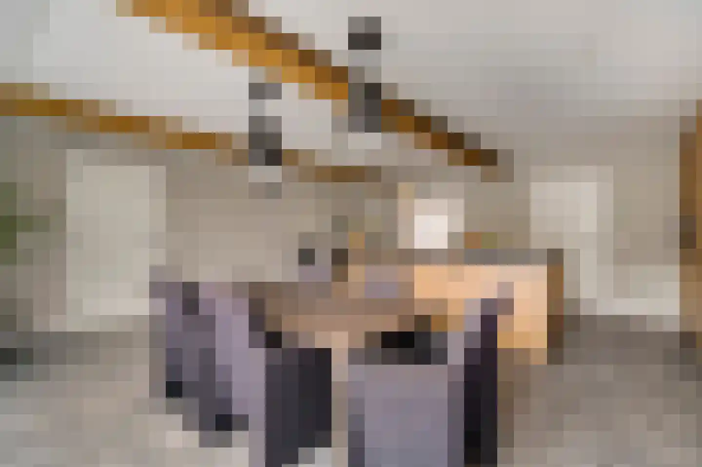 Tunnelweg 4 A Castenray thumbnail 19