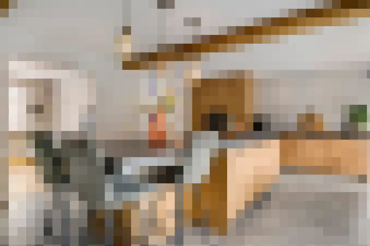Tunnelweg 4 A Castenray thumbnail 20