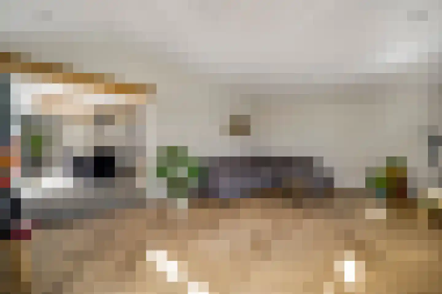 Tunnelweg 4 A Castenray thumbnail 22