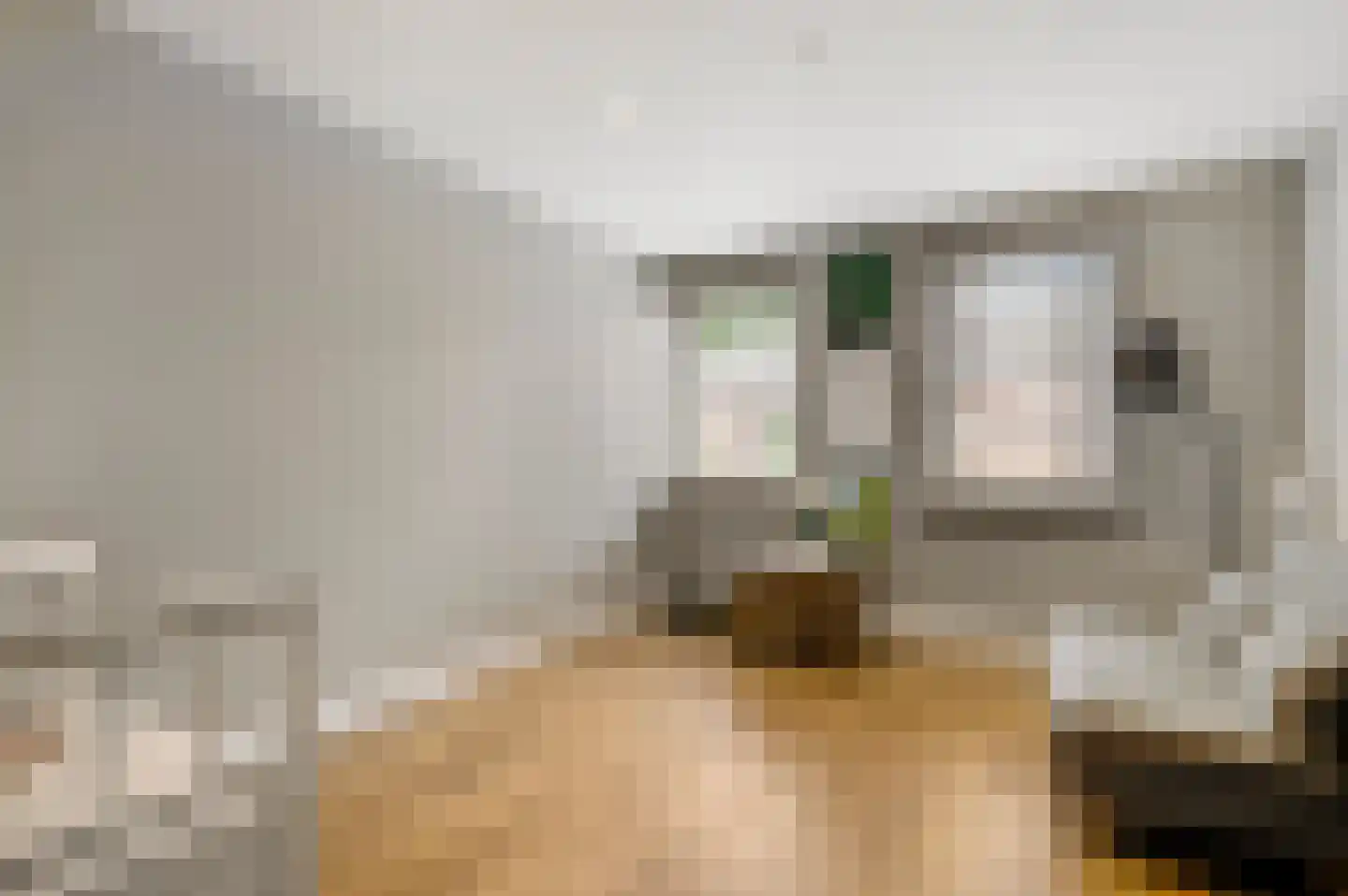 Tunnelweg 4 A Castenray thumbnail 25