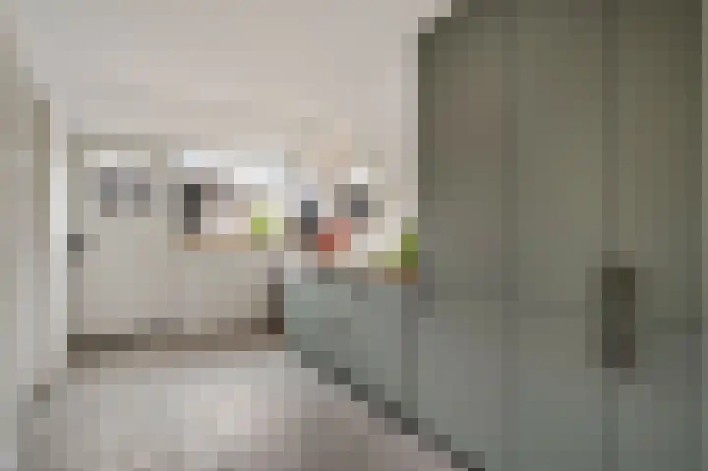 Tunnelweg 4 A Castenray thumbnail 28