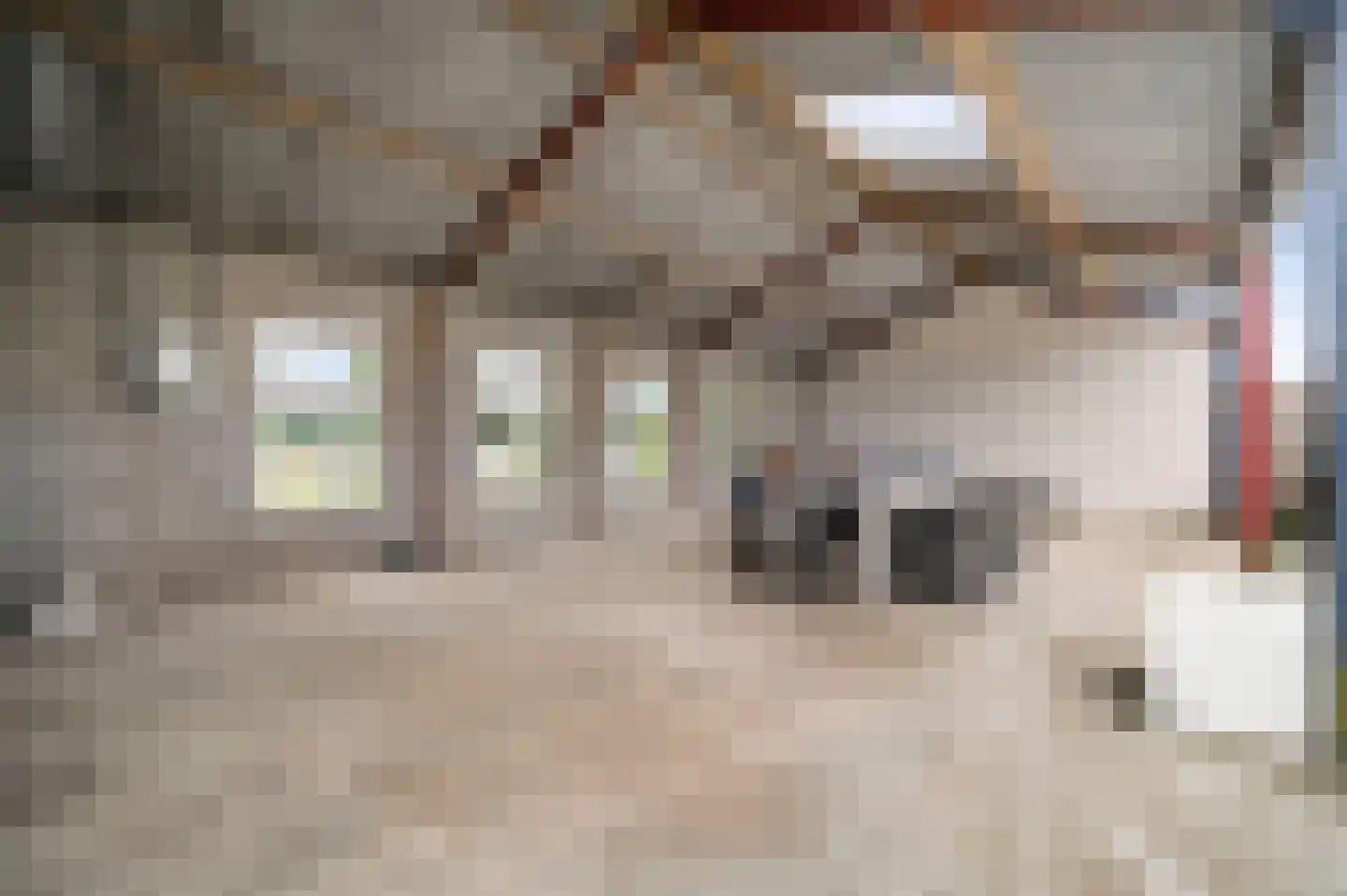 Tunnelweg 4 A Castenray thumbnail 36