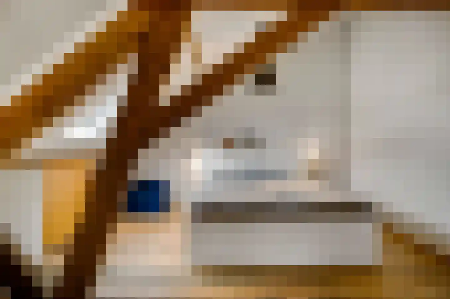 Tunnelweg 4 A Castenray thumbnail 53