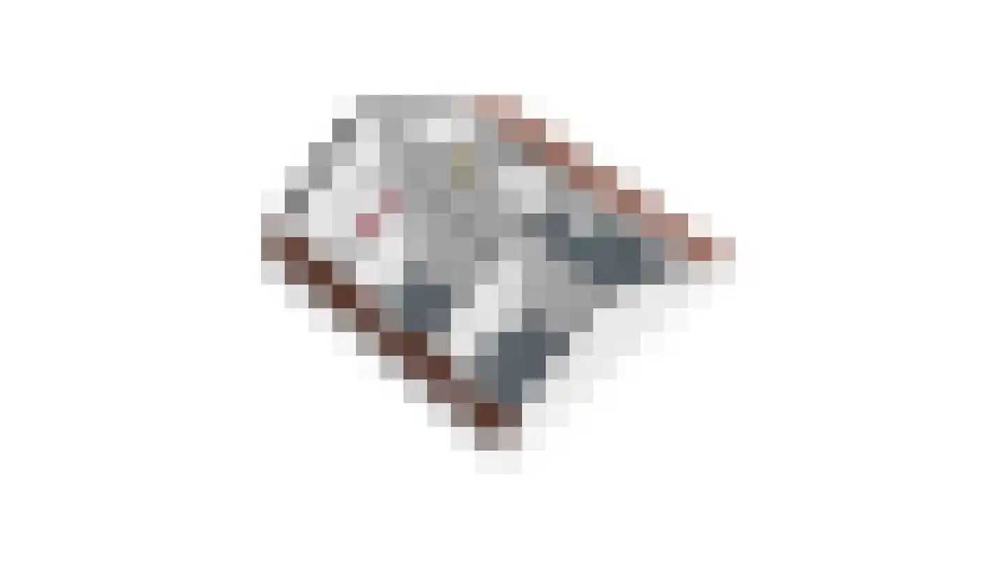 Tunnelweg 4 A Castenray thumbnail 65