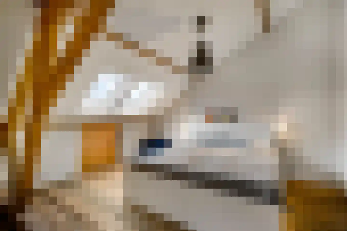 Tunnelweg 4 A Castenray thumbnail 7