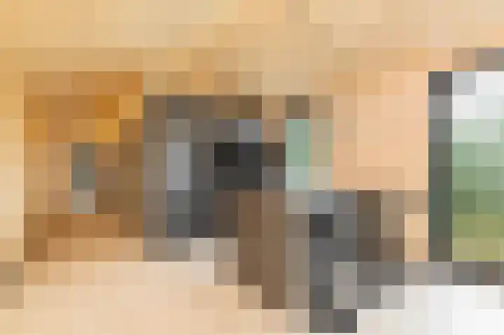 Tunnelweg 4 a Haarle thumbnail 6