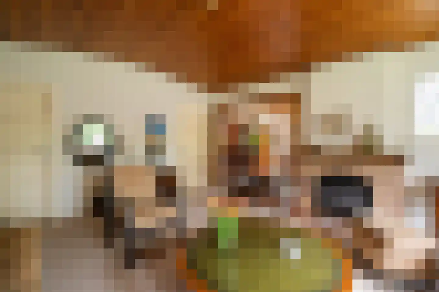 Tunnelweg 41 Geldermalsen thumbnail 10