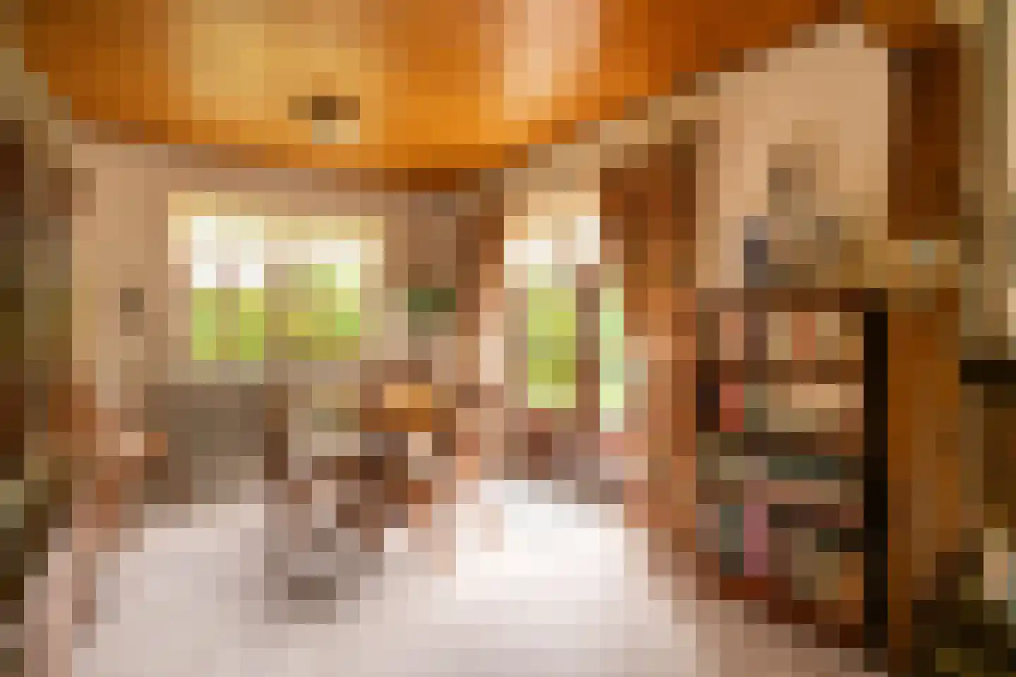 Tunnelweg 41 Geldermalsen thumbnail 12