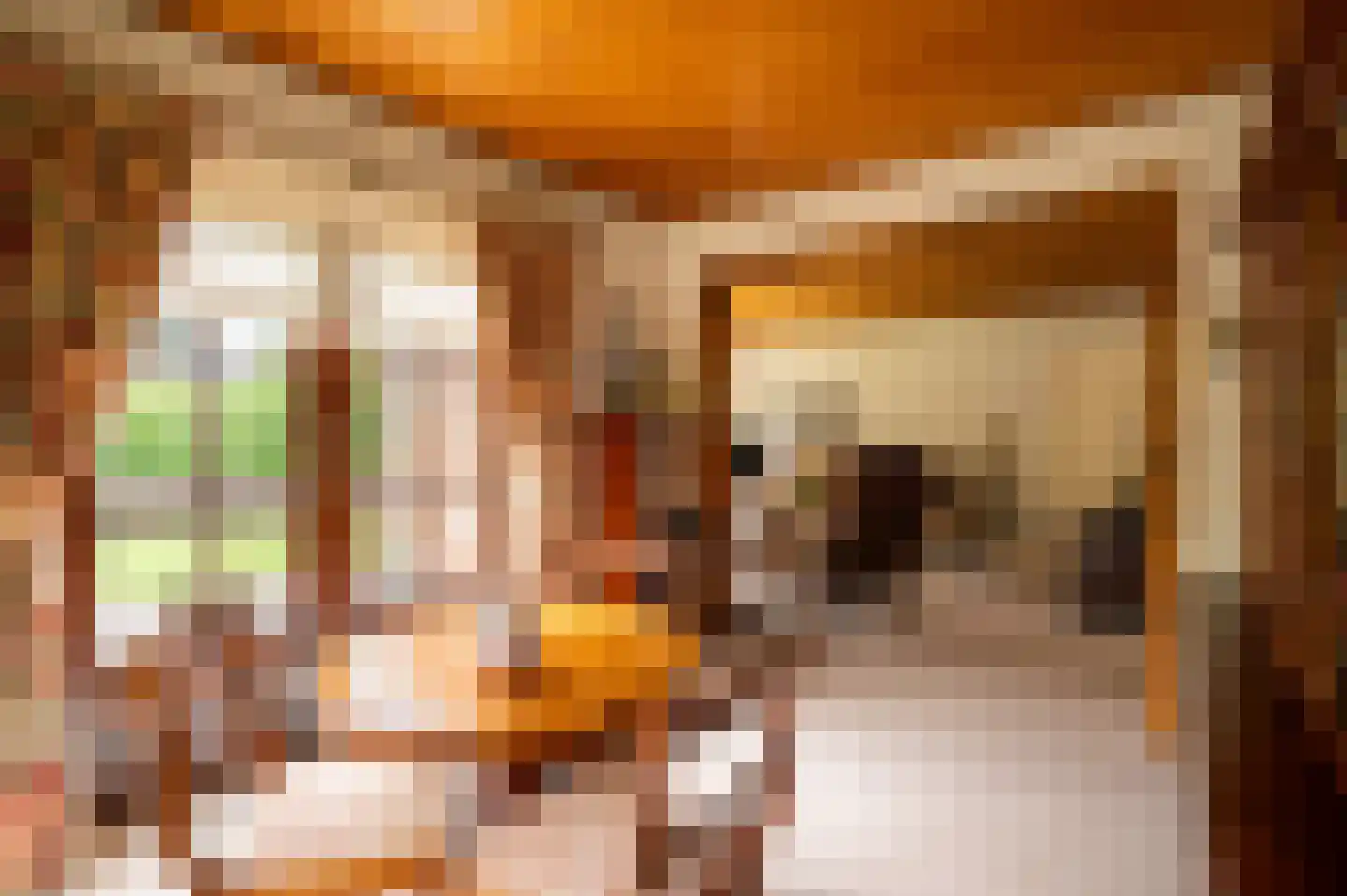 Tunnelweg 41 Geldermalsen thumbnail 13