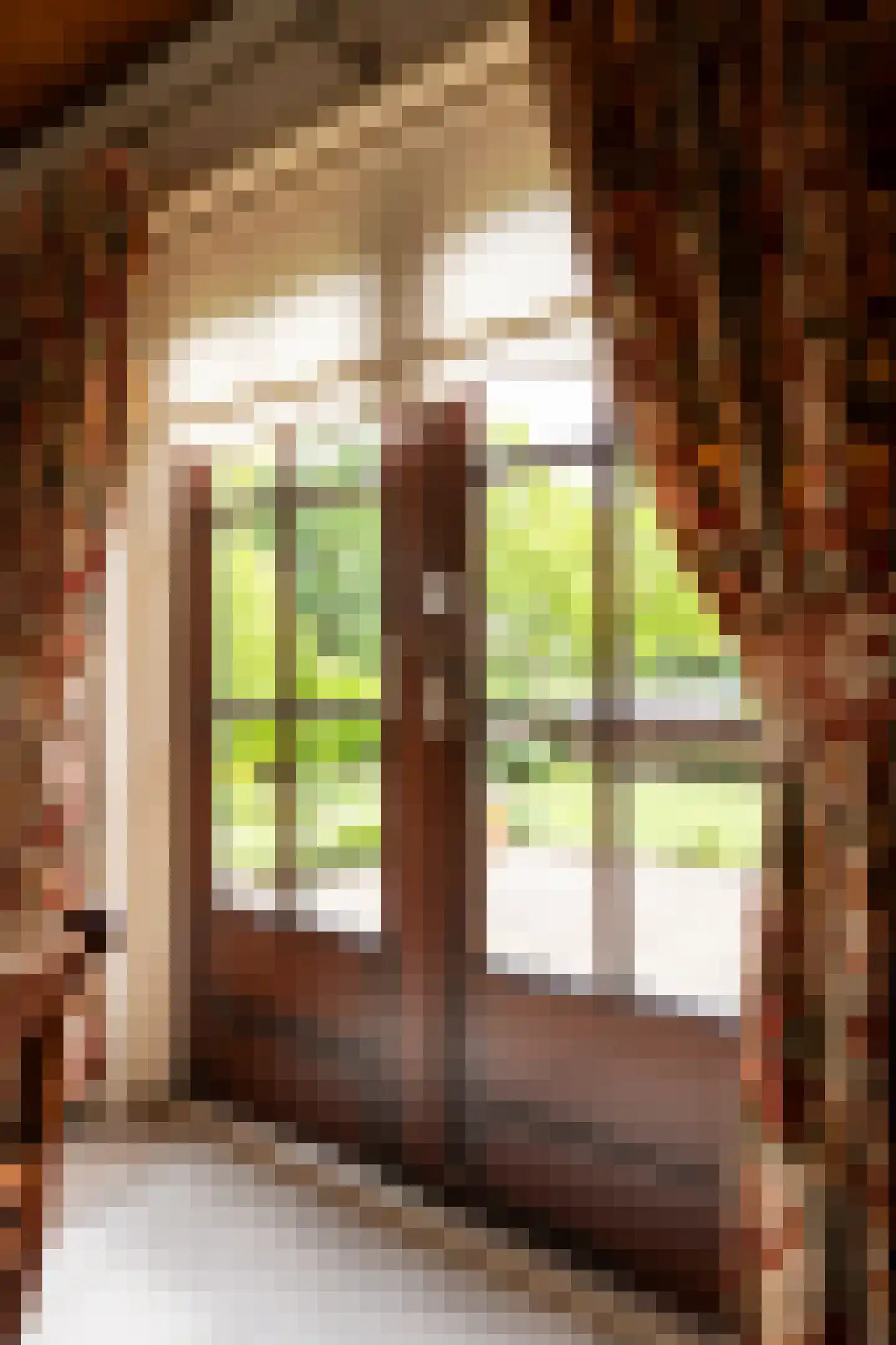 Tunnelweg 41 Geldermalsen thumbnail 14