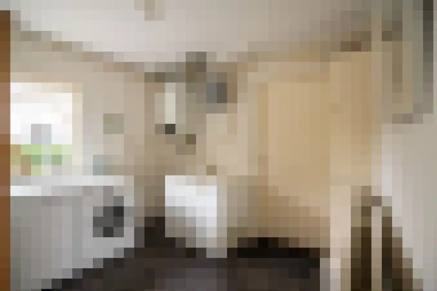 Tunnelweg 41 Geldermalsen thumbnail 30