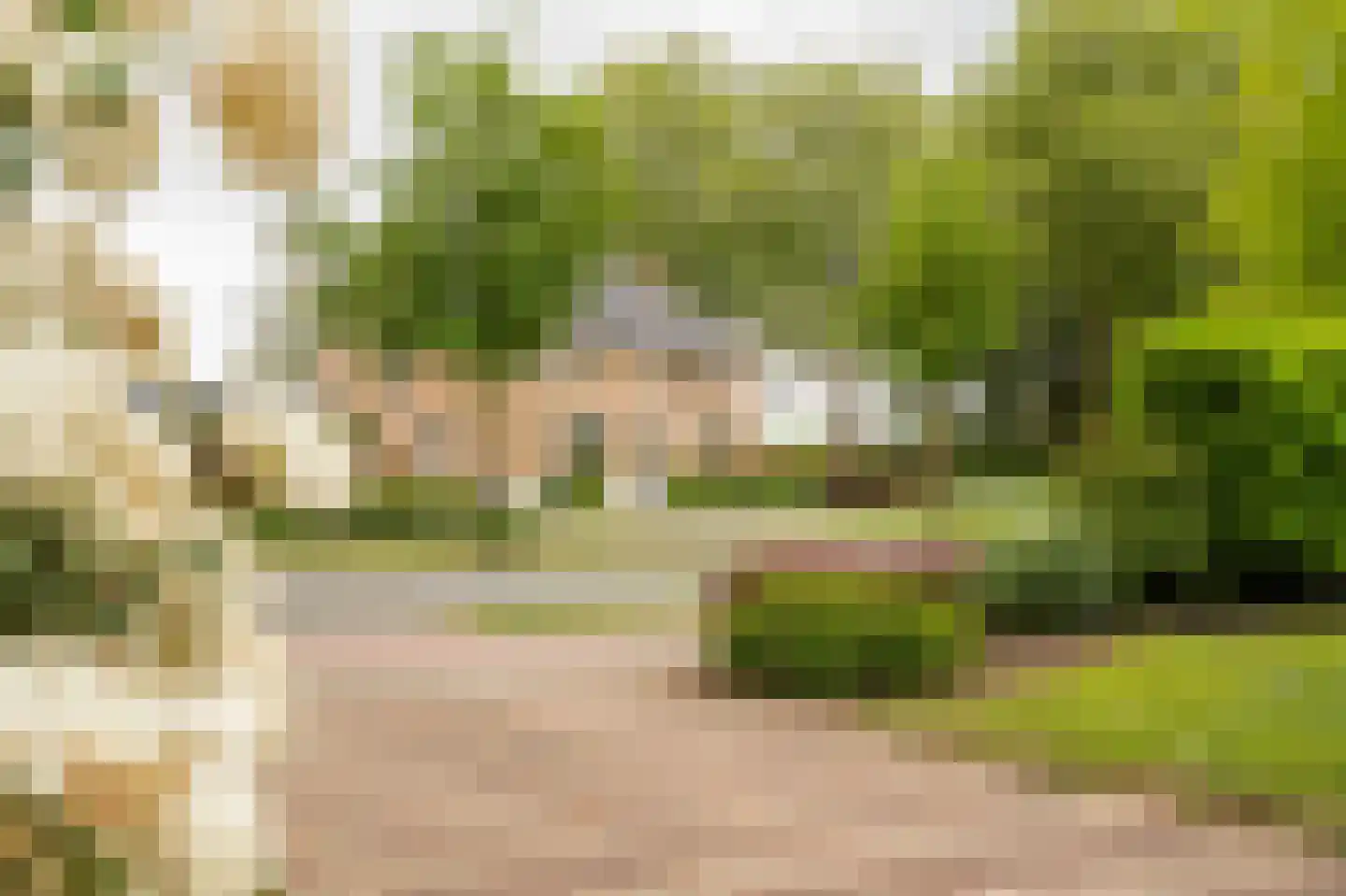 Tunnelweg 41 Geldermalsen thumbnail 34