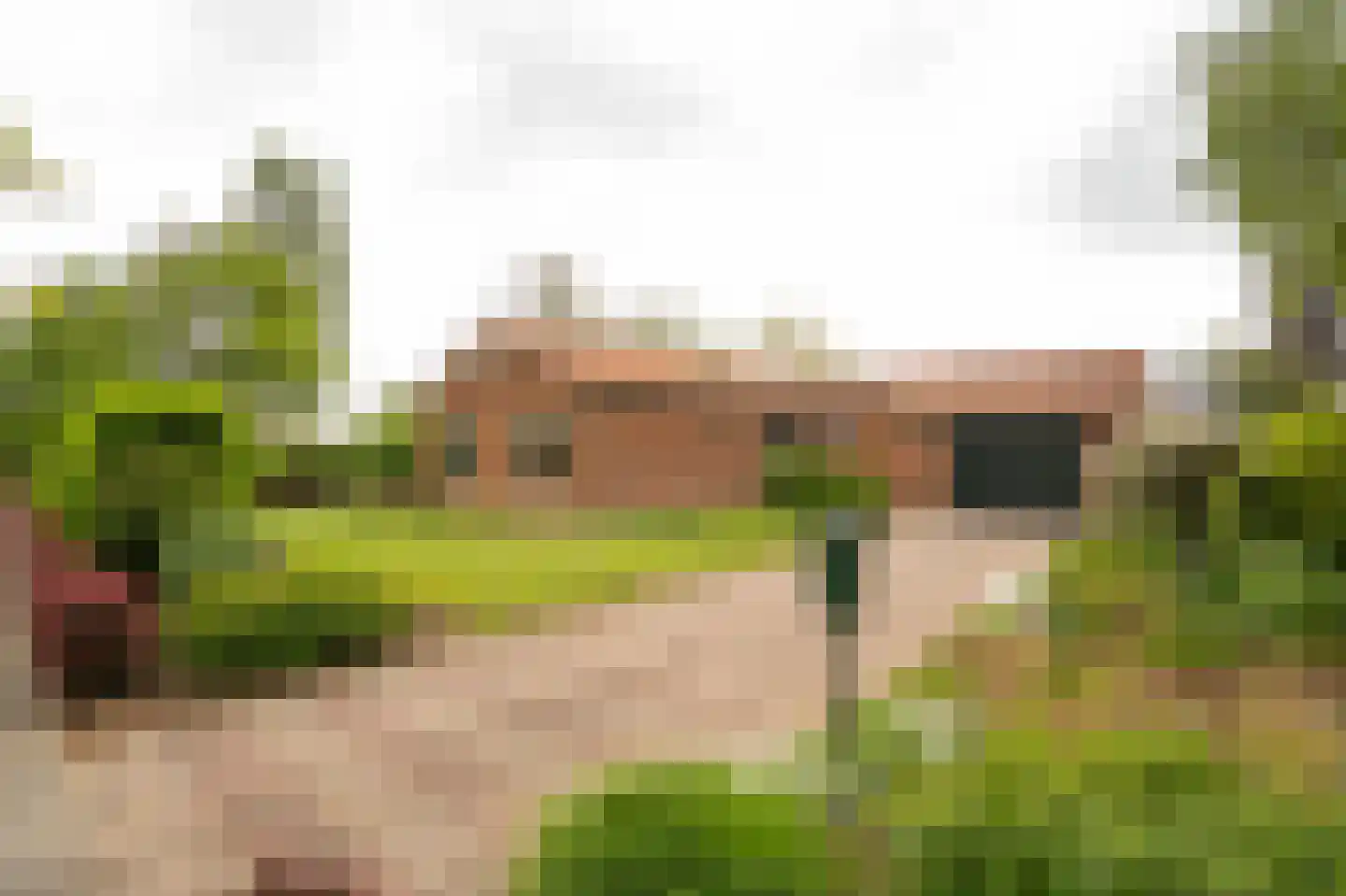 Tunnelweg 41 Geldermalsen thumbnail 35