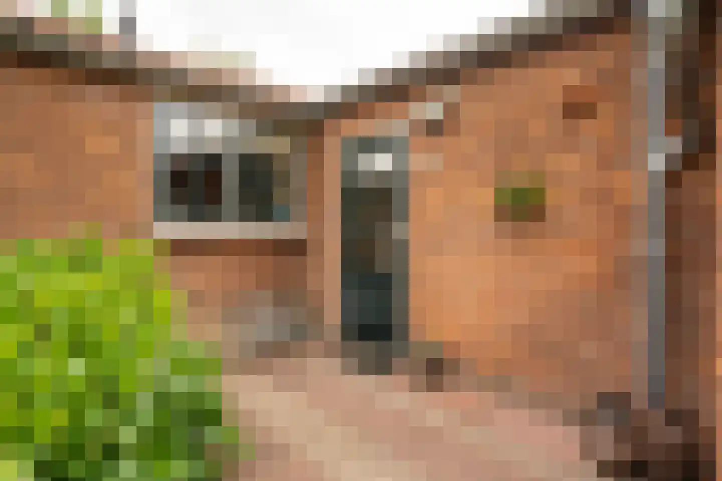 Tunnelweg 41 Geldermalsen thumbnail 36