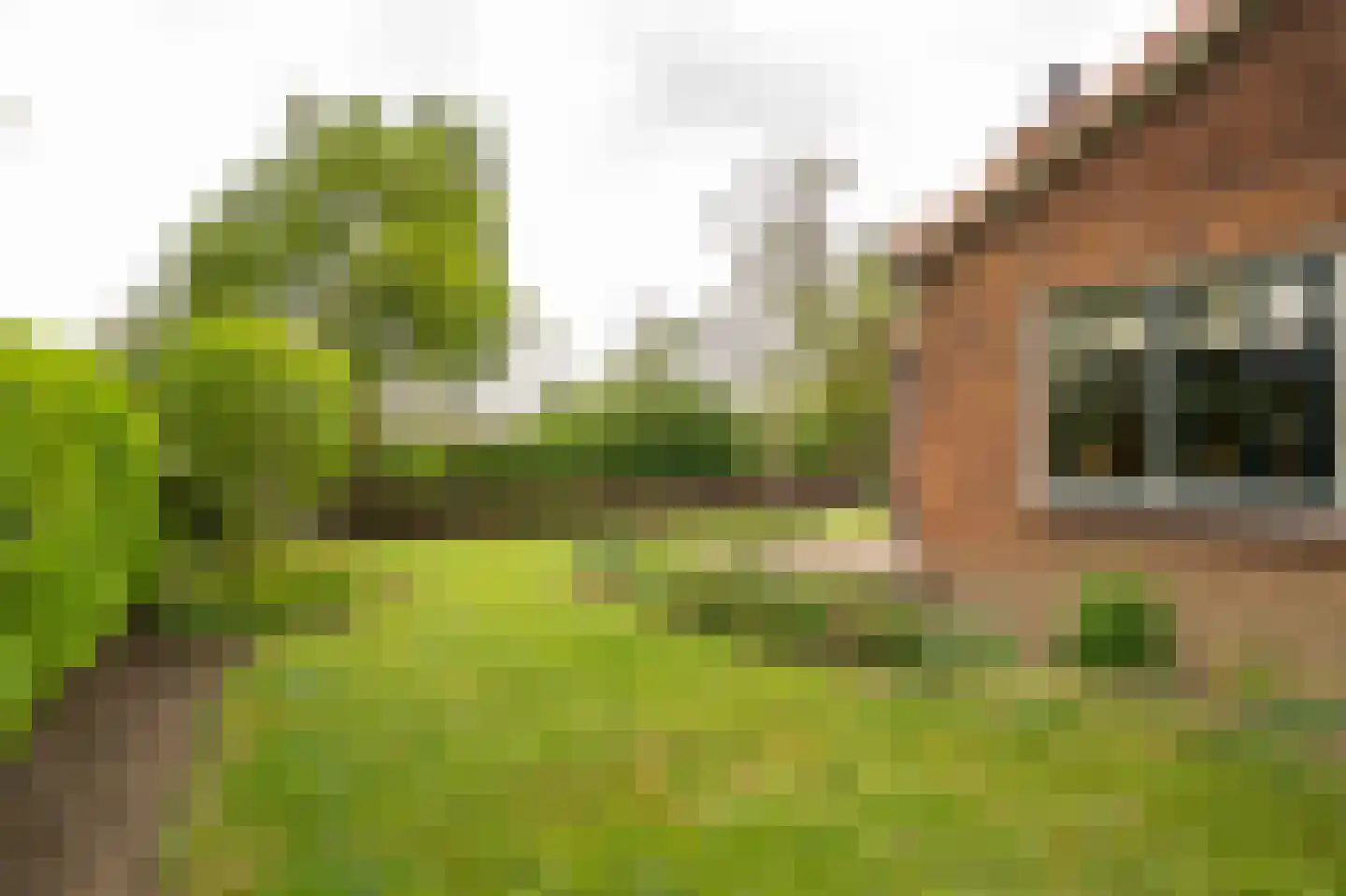 Tunnelweg 41 Geldermalsen thumbnail 38